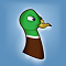   DuCk-